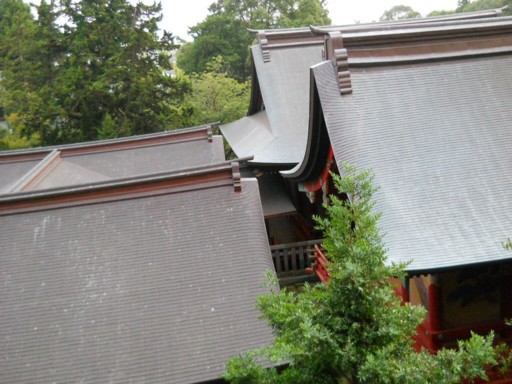 �߉������{10