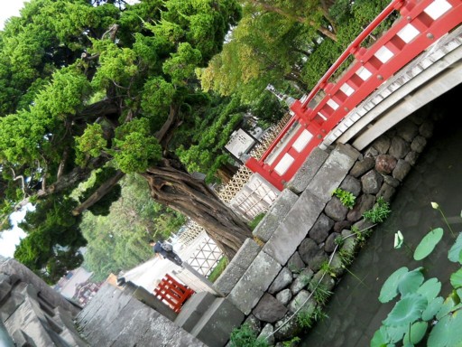 �߉������{11