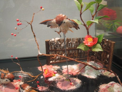 �َq������1