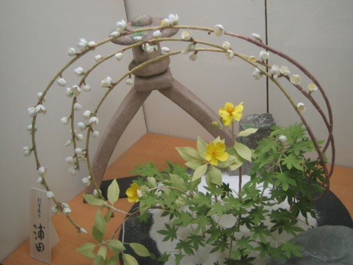 �َq������4