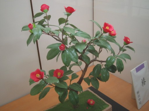 �َq������5