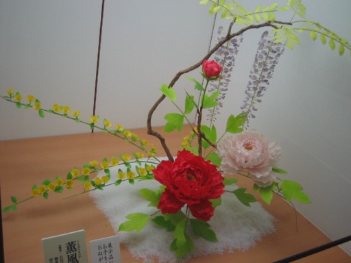 �َq������6