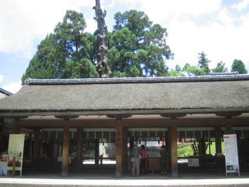 �ޗǃz�e�� - �t�����2