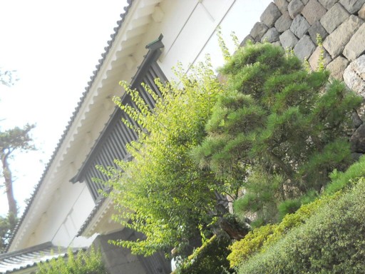 ���c����3