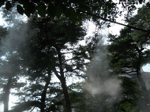 ���c����4