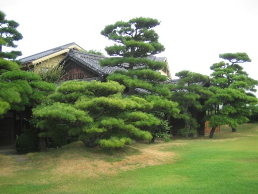 ���R�ʊ�34