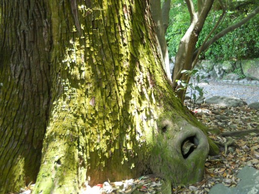 �ɐ��_�{ �O�{2