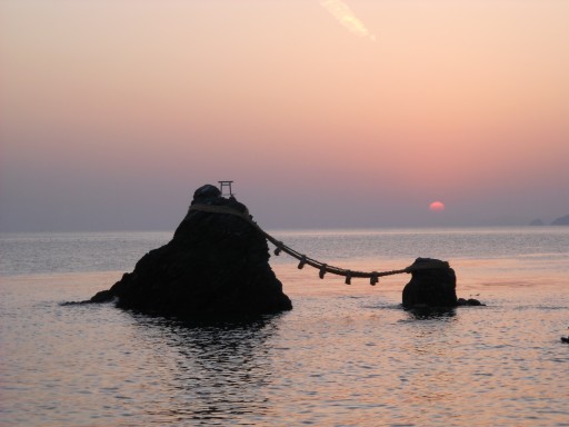 �v�w��̒���2