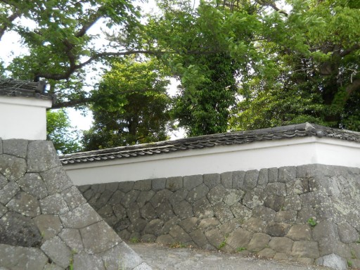 �܏\���̎U����