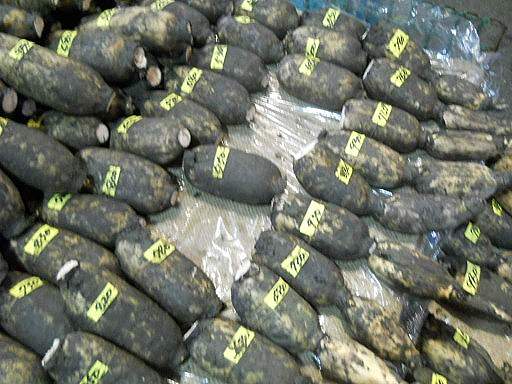 ����E�ߍ]���s��5