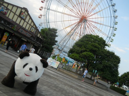 �C�l����1