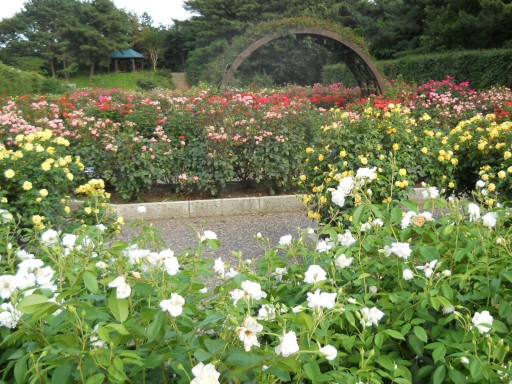 �C�l����4