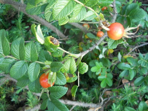 �C�l����8