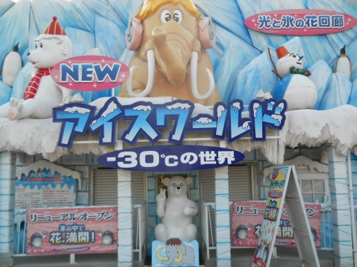 �C�l����9