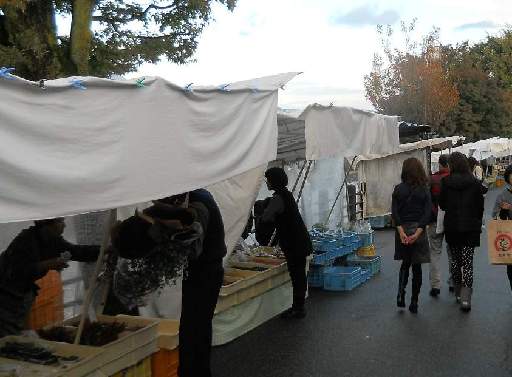 ���R�E���s1