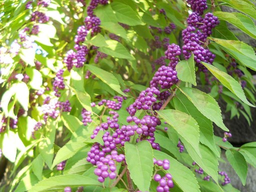 ���R�E������