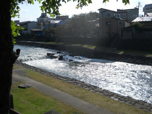 ���R�E�{��