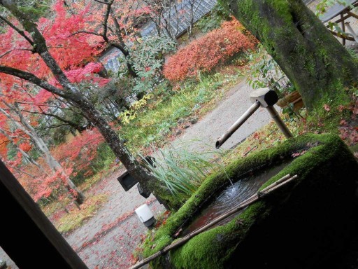 �R�z�@�E�T�̈�ʑ�3