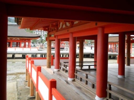 �����_��5