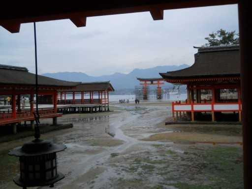 �����_��6