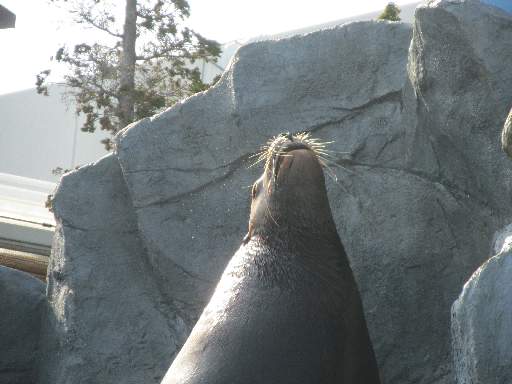 ���H������2