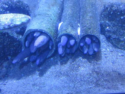 ���H������7