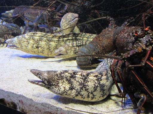 ���H������9