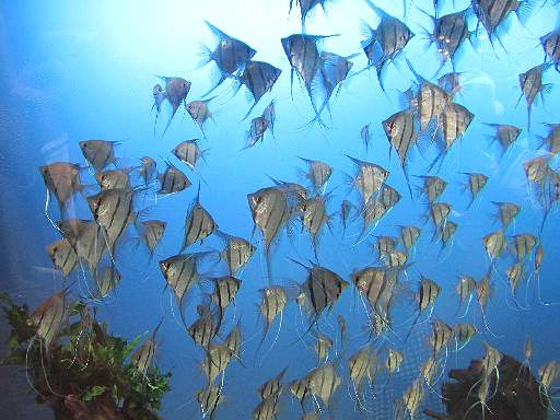 ���H������10