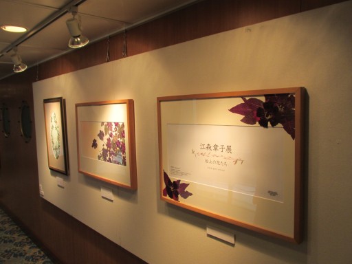 �ʕ{�ԉ΃N���[�Y �D���A�[�g1