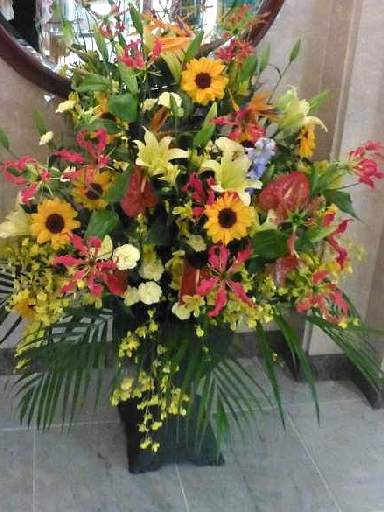 ���v���N���[�Y116