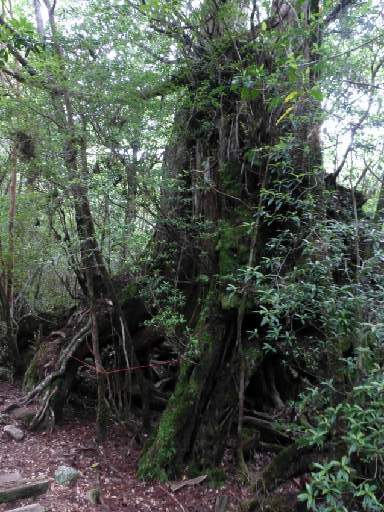 ���v���N���[�Y123