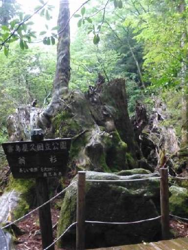 ���v���N���[�Y130