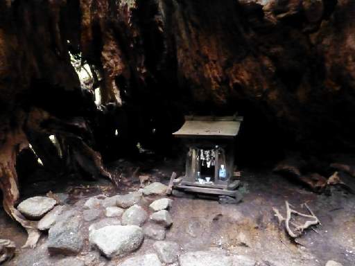 ���v���N���[�Y131