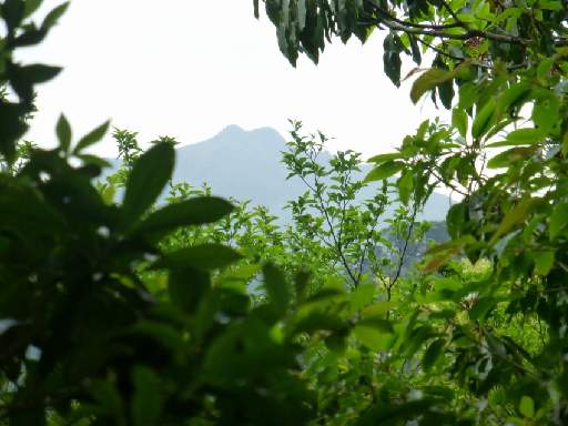 ���v���N���[�Y134