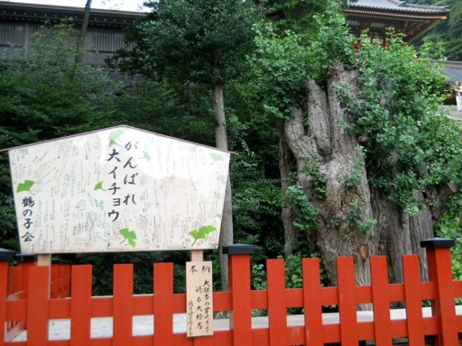 �߉������{7