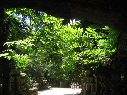 �ޗǃz�e�� - �t�����3