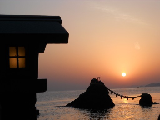 �v�w��̒���5