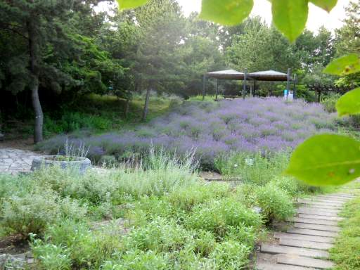 �C�l����6