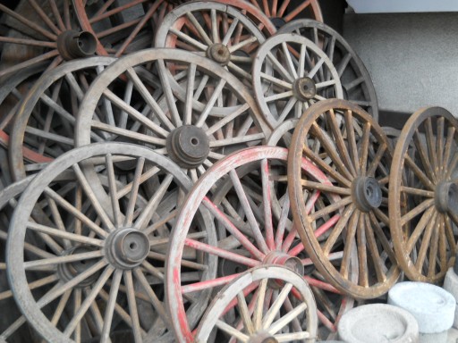 ���R�E�ۑ��n��7