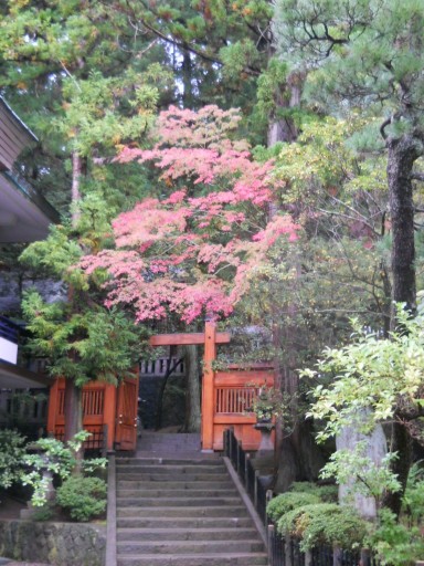 ���R�E�N�R�����{2