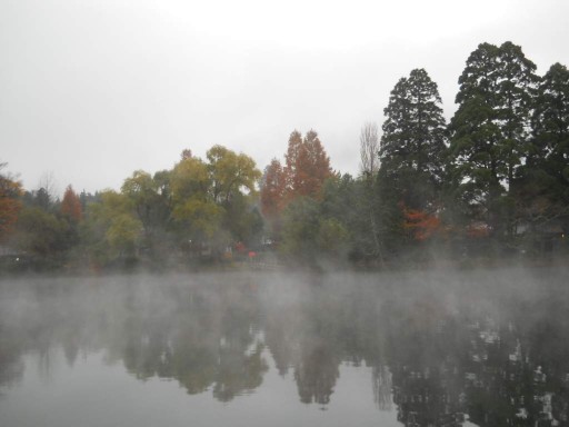 �R�z�@�E���،�4