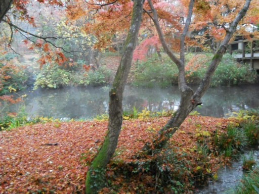 �R�z�@�E�g�t1