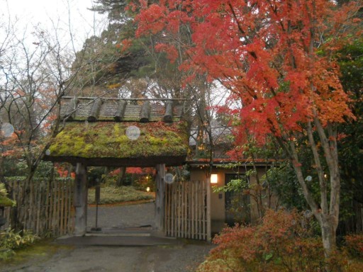 �R�z�@�E�g�t4