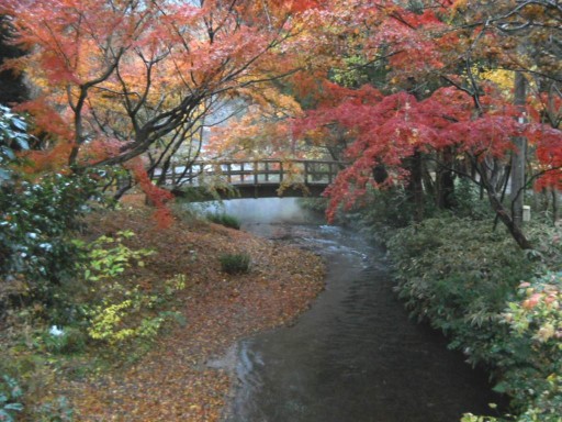 �R�z�@�E�g�t7