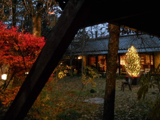 �R�z�@�E��̕��i1