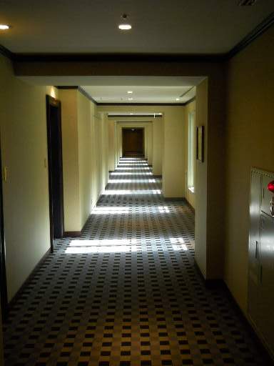 ���˃v���U�z�e��4