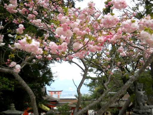 �����_��8