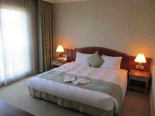 ��䃍�C�����p�[�N�z�e��1