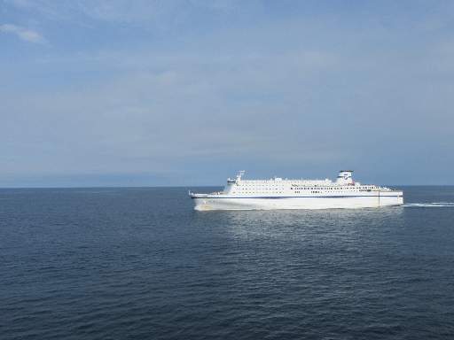 �t�F���[�E����1