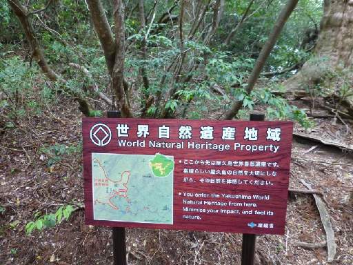 ���v���N���[�Y137